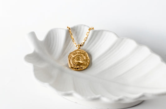 Pisces Zodiac  Constellation Necklace
